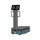 Průmyslový doručovací robot Alpha Panda AMR F300