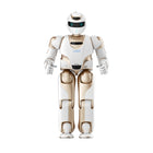 UBTECH Walker X