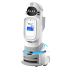 Chytrý společenský robot UBTECH Welli