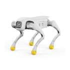 AGIBOT D1 Edu Dört Ayaklı Robot