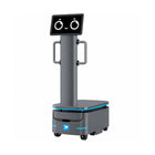 Průmyslový doručovací robot Alpha Panda AMR F150