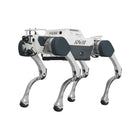 Przemysłowy robot czworonożny Deep Robotics X30 Pro