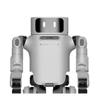 Robot umanoid universal Noetix Dora